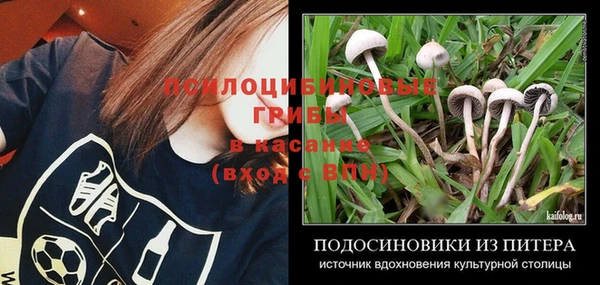 винт Аркадак