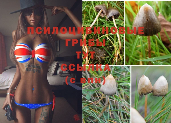 а пвп мука Армянск