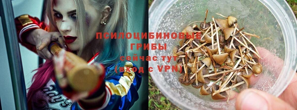 винт Аркадак