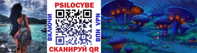 Псилоцибиновые грибы Psilocybine cubensis  Гулькевичи 