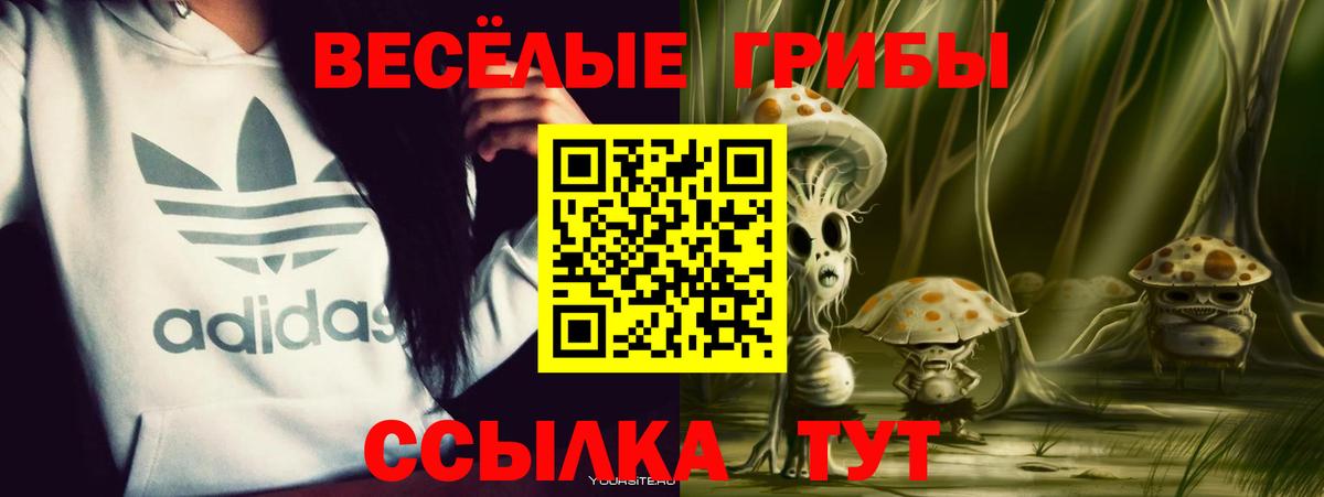 Гулькевичи  Псилоцибиновые грибы GOLDEN TEACHER  Вход с VPN 